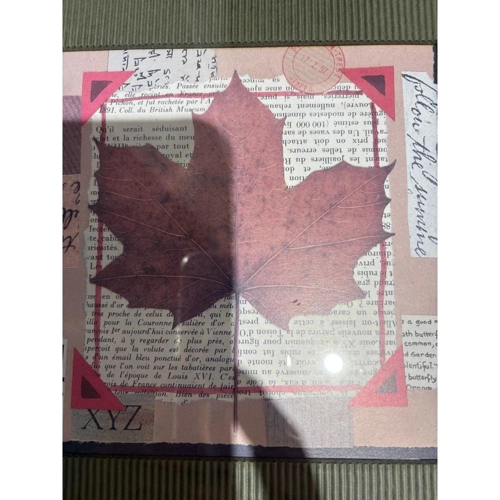 VTG Framed Leaf Wall Art Set of 3 Botanical Collage Prints Rustic‎ Decor Serene